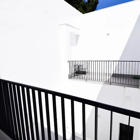 Letmalaga Study *